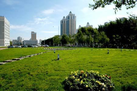 哈尔滨工业大学一本最低投档分570