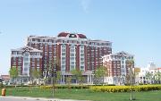 2017天津外国语大学滨海外事学院排名第177