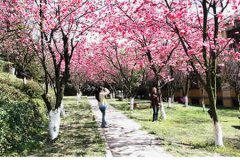 玉溪师范学院有哪些二本理科专业？