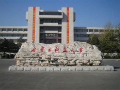 内蒙古科技大学有哪些一本理科专业？