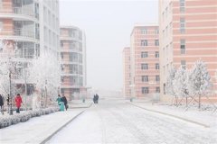 志愿填报:黑龙江生物科技职业学院是公办还是民办大专？