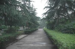 填报问题:四川电力职业学院是公办还是民办大专？