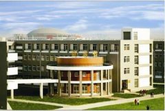 安徽新华学院有哪些二本理科专业？