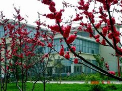 填报问题:山东工业职业学院是公办还是民办专科？