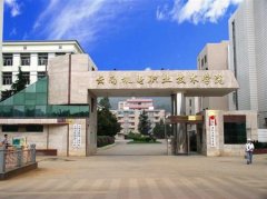 填报问题:云南机电职业学院是公办还是民办专科？