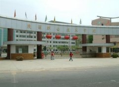 填报问题:陕西职业学院是公办还是民办专科？