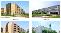 西安电子科技大学有哪些一本文科专业？