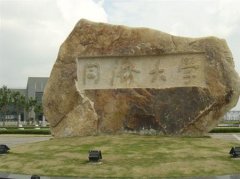 同济大学有哪些三本理科专业？