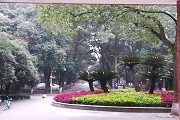 2018青海二本分数线最高大学排名