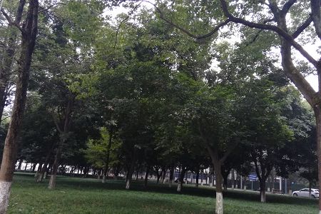 2017广西城市职院各省理科分数线多少？